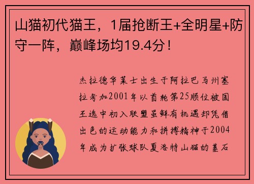 山猫初代猫王，1届抢断王+全明星+防守一阵，巅峰场均19.4分！
